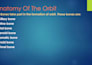 write medical content and medical blogs